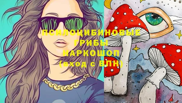 сатива Магас