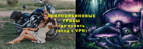 крисы Аркадак