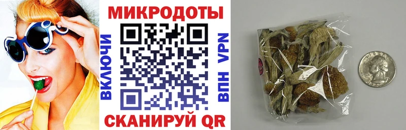 Псилоцибиновые грибы мицелий  OMG вход  Зерноград  сколько стоит 